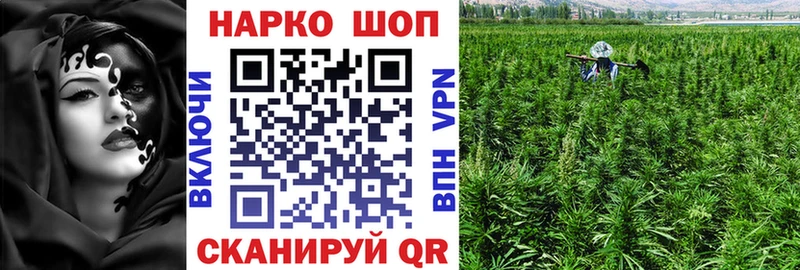 Купить наркотик Новотитаровская Бошки Шишки  Alpha-PVP  kraken ССЫЛКА  Гашиш  МЕФ  Cocaine 