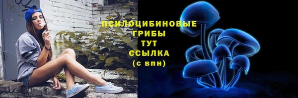 стафф Алзамай